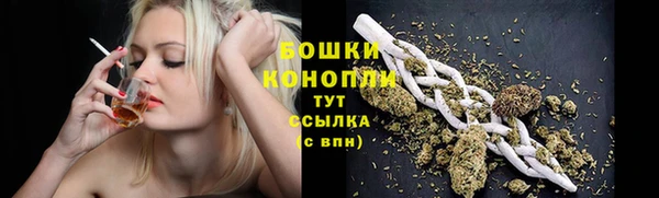 стафф Ладушкин
