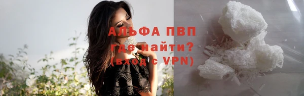 стафф Ладушкин