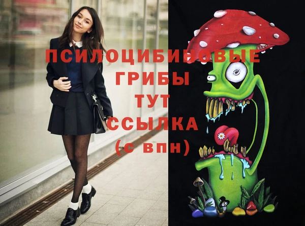 mdma Лагань