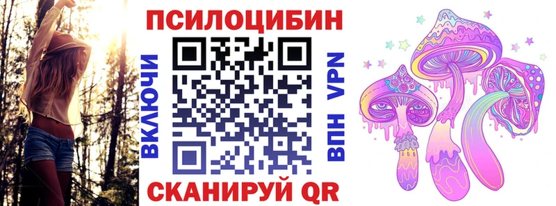 Псилоцибиновые грибы Cubensis  blacksprut вход  Курчатов  купить  
